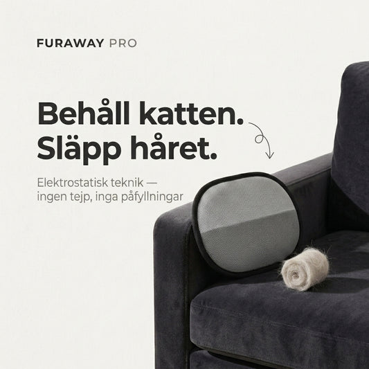 Få rena kläder och möbler på under en minut