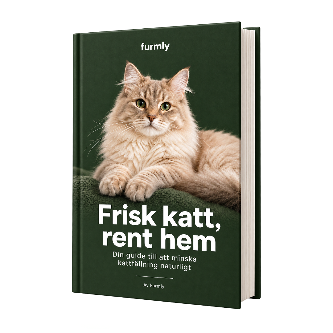 Frisk katt, rent hem | E-bok