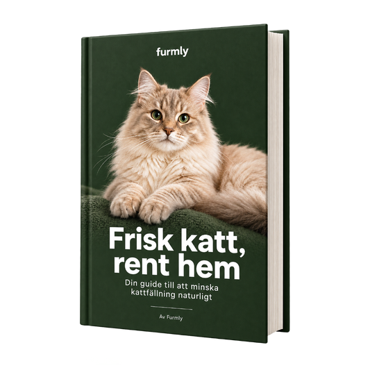 Frisk katt, rent hem | E-bok